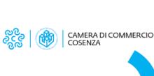 Logo Camera di Commercio