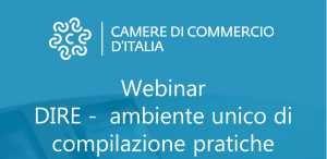Webinar DIRE 13 gennaio 2022 ore 15-17