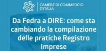 Webinar su DIRE 2021